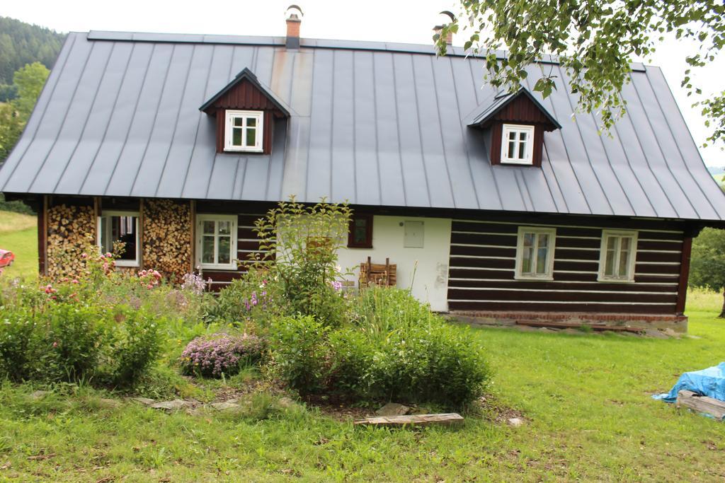Frantiskov 17 Apartman Rokytnice nad Jizerou Kültér fotó